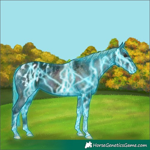 Horse Color:Platinum Thunderstruck Midnight Red Onyx Ice Tobiano Appaloosa