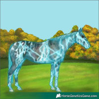 Horse Color:Platinum Thunderstruck Midnight Red Onyx Ice Tobiano Appaloosa