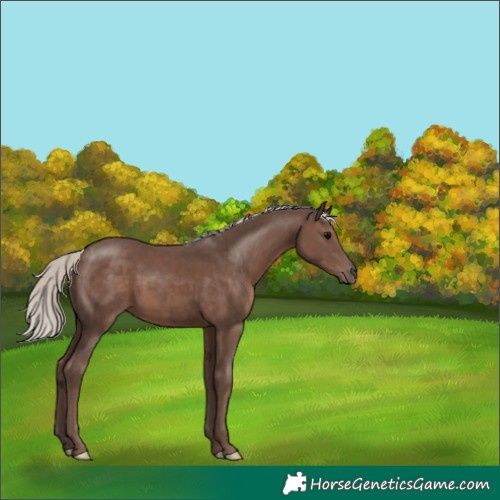 Horse Color:Silver Black 