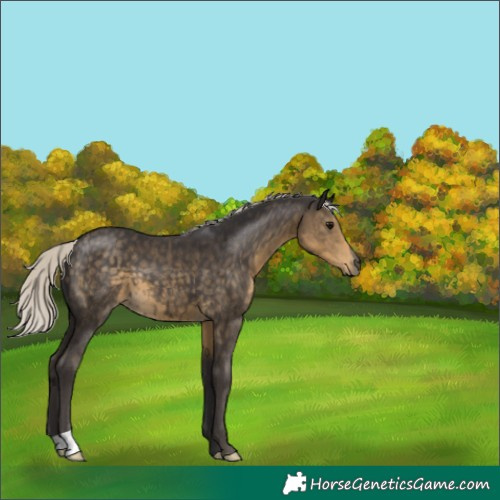 Horse Color:Silver Smoky Black 