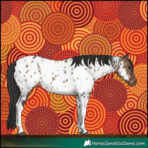 Horse Color:Brown Dun Tobiano Appaloosa Rabicano 