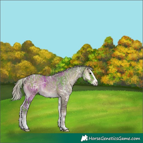Horse Color:Watercolor Silver Blue Onyx Sabino Rabicano  and Silver Blue Onyx Ice Sabino Rabicano 