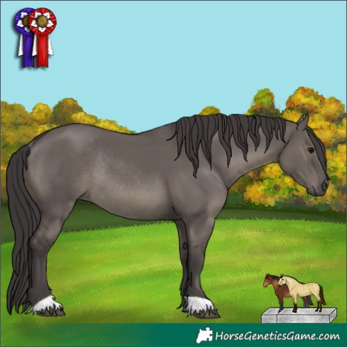 Horse Color:Smoky Grullo Rabicano 