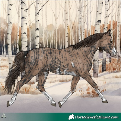 Horse Color:Black  and Classic Champagne 