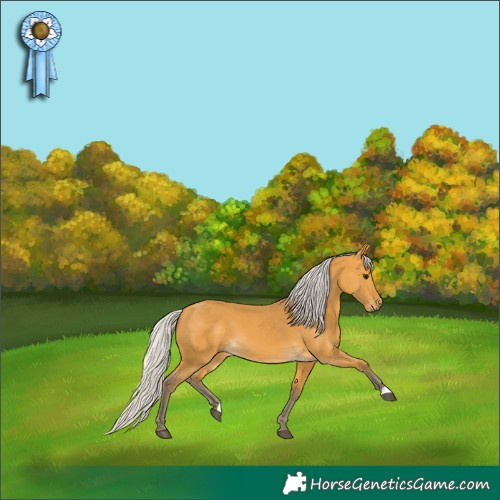 Horse Color:Silver Buckskin 