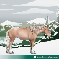 Horse Color:Gold Cream Champagne Pearl Tobiano