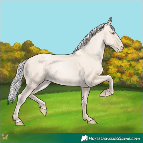 Horse Color:Silver Amber Cream Champagne Pearl 