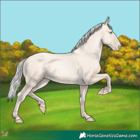 Horse Color:Silver Amber Cream Champagne Pearl 