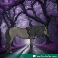 Horse Color:Grullo Rabicano 