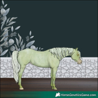 Horse Color:Watercolor Silver Classic Champagne Roan 