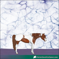 Horse Color:Chestnut Tobiano Snowcap 