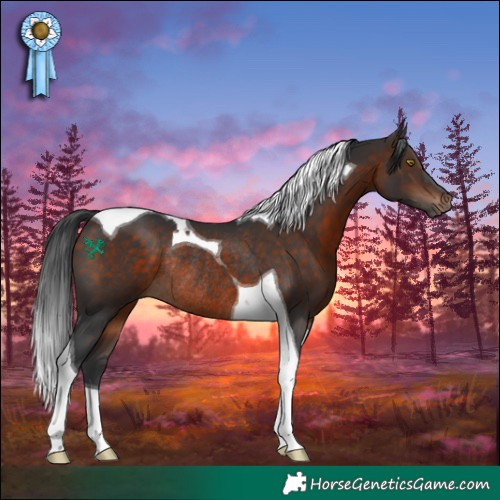 Horse Color:Bay Tobiano Rabicano