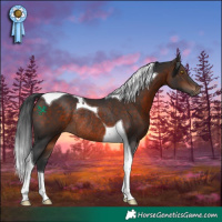 Horse Color:Bay Tobiano Rabicano 