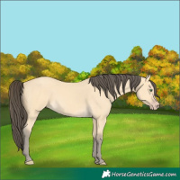 Horse Color:Amber Cream Champagne 