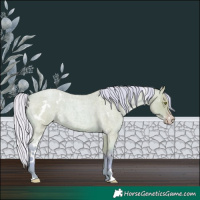 Horse Color:Watercolor White Spotted Silver Amber Champagne Roan 