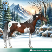 Horse Color:Bay Tobiano 