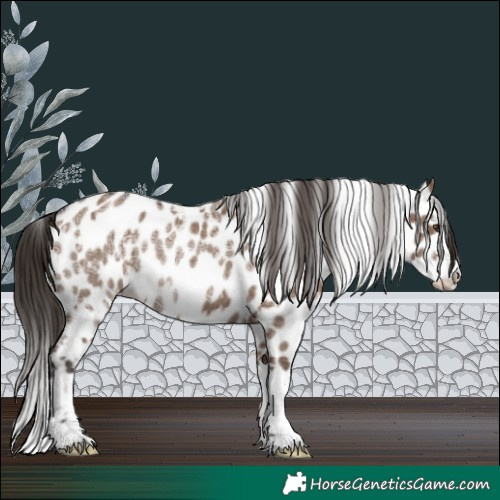 Horse Color:White Spotted Liver Red Dun Ice Sabino Splash Near Leopard