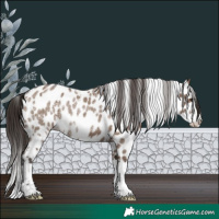 Horse Color:White Spotted Liver Red Dun Ice Sabino Splash Near Leopard 