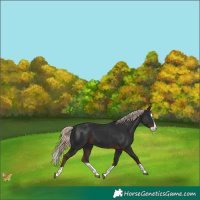 Horse Color:Liver Chestnut Mushroom Splash 
