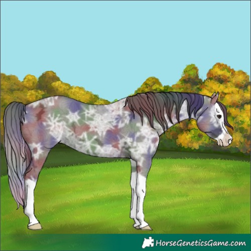 Horse Color:Nacre Smoky Grullo Ice Splash 