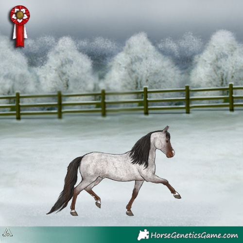 Horse Color:Liver Red Roan 