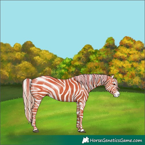 Horse Color:Palomino 