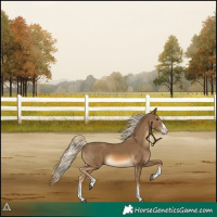 Horse Color:Chocolate Palomino Splash 