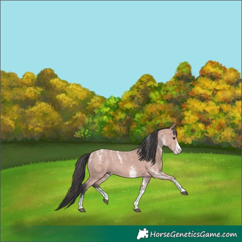 Horse Color:Powder White Platinum White Spotted Bay 