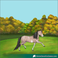 Horse Color:Powder White Platinum White Spotted Bay 