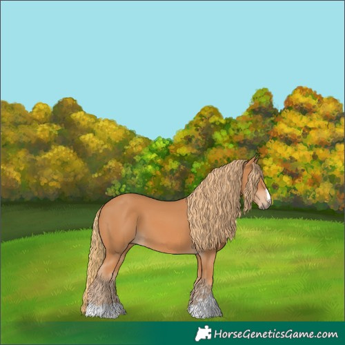 Horse Color:Chestnut 