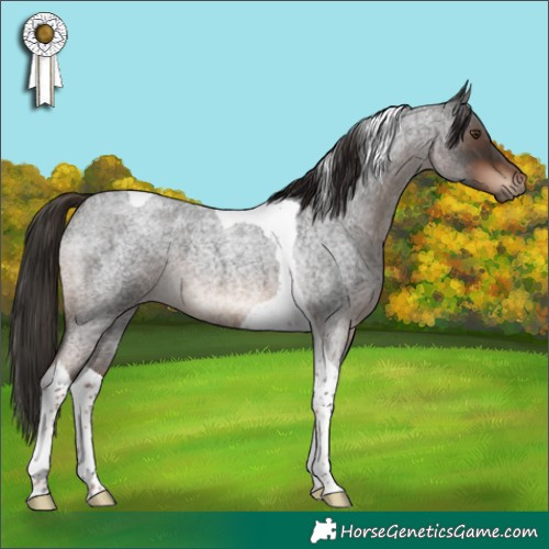 Horse Color:Liver Red Roan Tobiano 