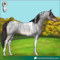 Horse Color:Liver Red Roan Tobiano 