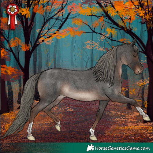 Horse Color:Liver Red Roan Mushroom Tobiano