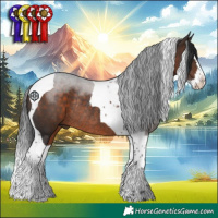 Horse Color:Brown Splash Tobiano Rabicano 