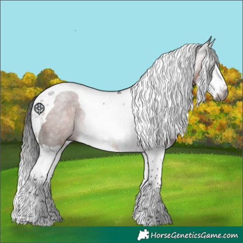 Horse Color:Gray Bay Splash Tobiano Rabicano