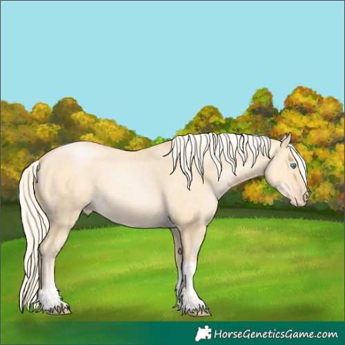 Horse Color:Unknown 