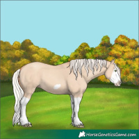 Horse Color:Silver Classic Champagne Dun Splash Frame 