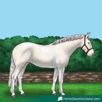 Horse Color:Cremello Dun Tobiano 