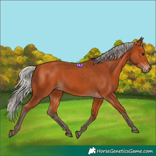 Horse Color:Silver Bay