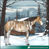 Horse Color:Buckskin Sabino 