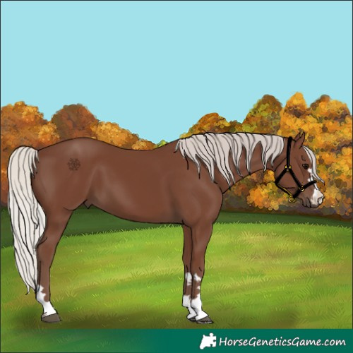 Horse Color:Silver Black 