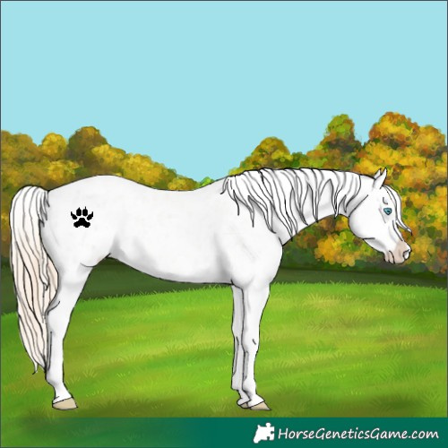 Horse Color:Smoky Creme Roan Dun Appaloosa  and Smoky Creme Roan Dun Appaloosa 
