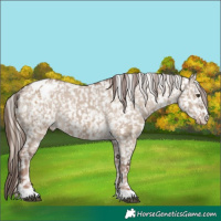 Horse Color:Chocolate Palomino Dun Snowflake Varnish and Liver Red Dun Snowflake Varnish