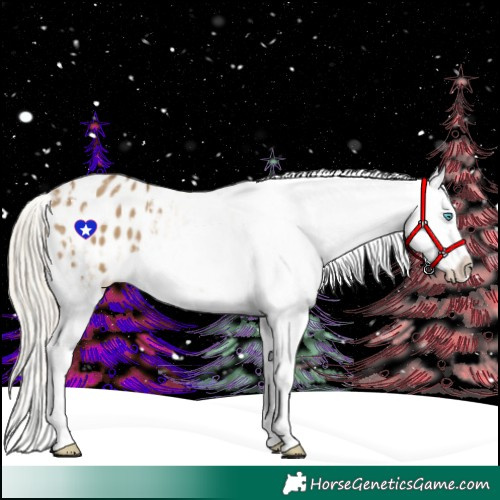 Horse Color:Chocolate Palomino Roan Pearl Dun Blanket  and Chocolate Palomino Dun Blanket 