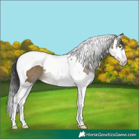 Horse Color:Gray Classic Cream Champagne Splash Tobiano 