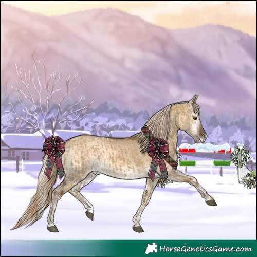 Horse Color:Chocolate Palomino Dun Snowflake Varnish and Chocolate Palomino Onyx Snowflake Varnish 