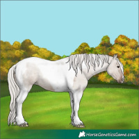Horse Color:Silver Grullo Roan Tobiano