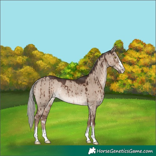 Horse Color:Liver Red Dun Mushroom Rabicano Brindle 
