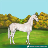 Horse Color:Gold Champagne Mushroom Sabino Varnish 