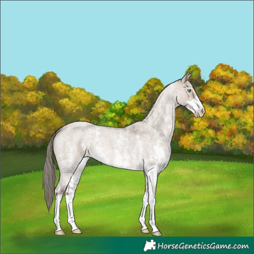 Horse Color:Liver Red Dun Roan Mushroom Sabino 